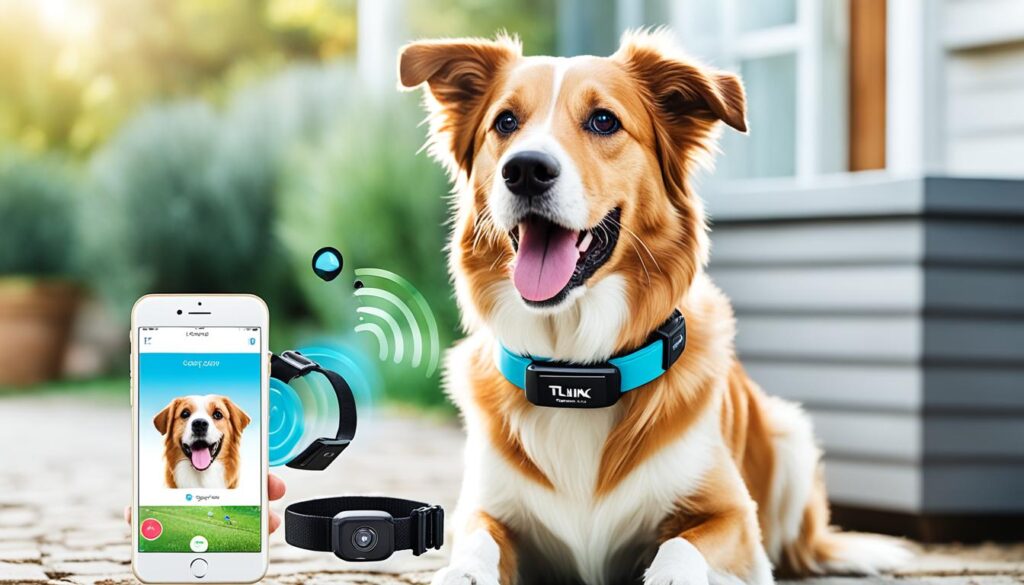 gadgets para perros